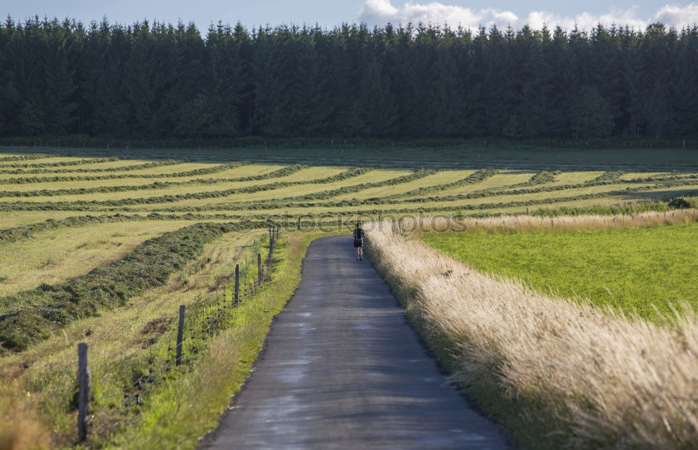 Similar – Foto Bild Weg Ferne Meer Natur