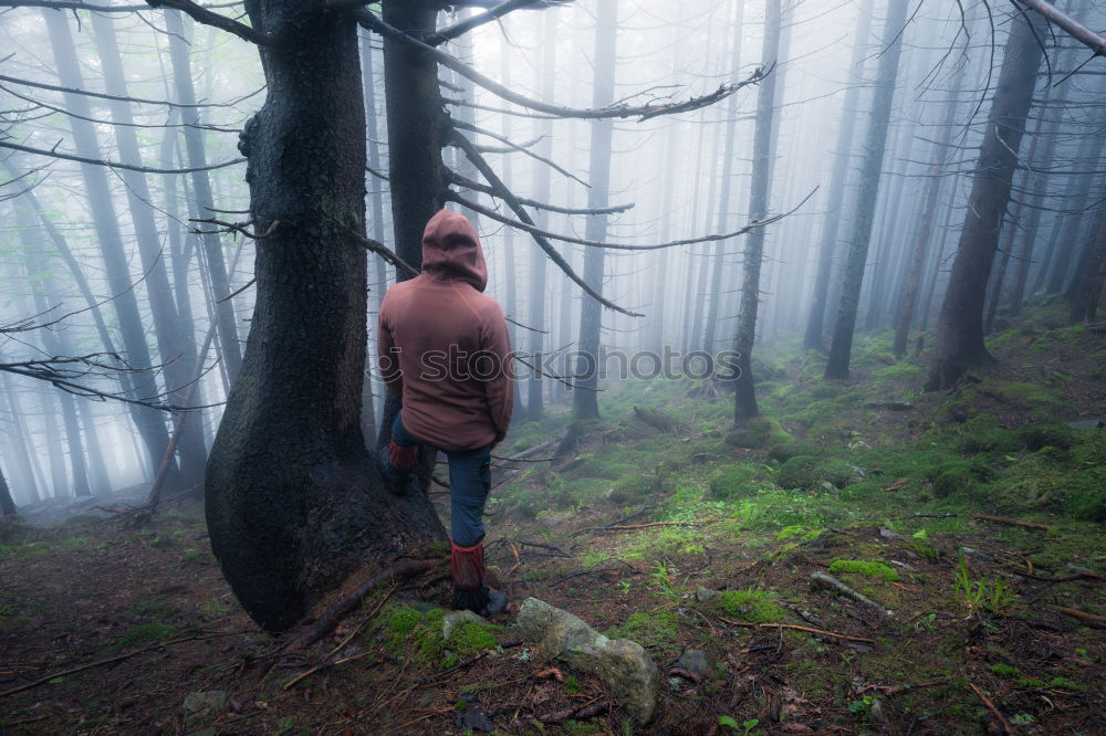 Er dachte: 112 Wald Mann