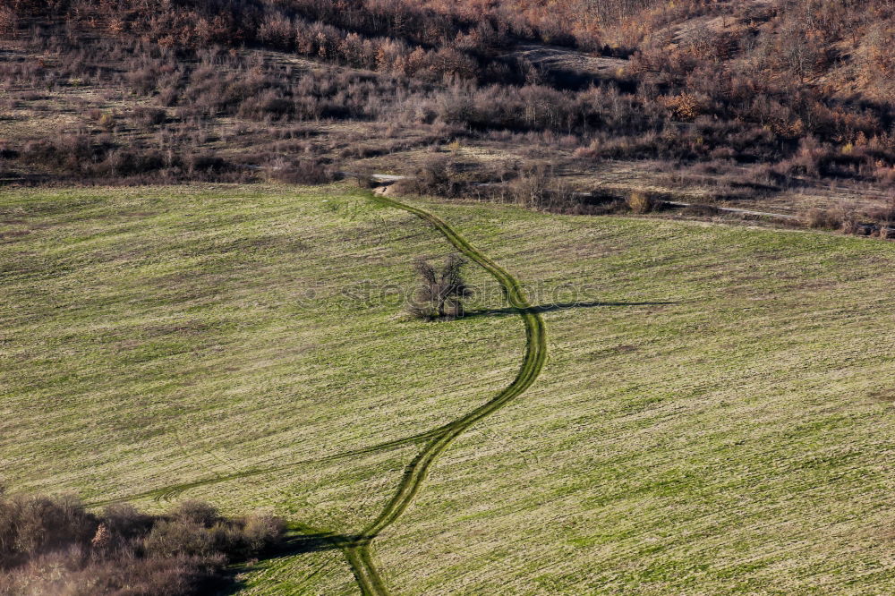 Similar – Image, Stock Photo Small road in a forest seen from above