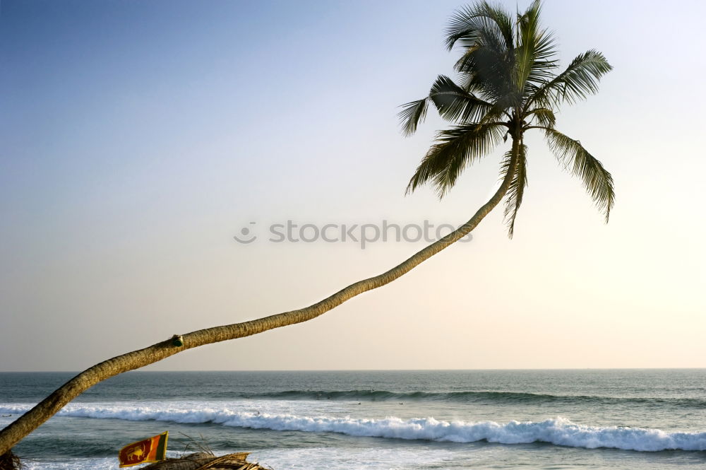 Similar – Straw umbrellas on the beach