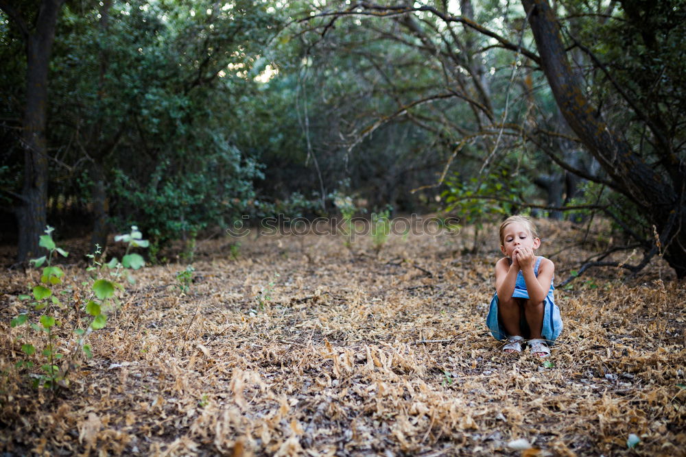 Similar – Cheerful kid in costume posing on tree