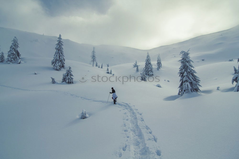 Similar – Image, Stock Photo Rondane V Trip Adventure