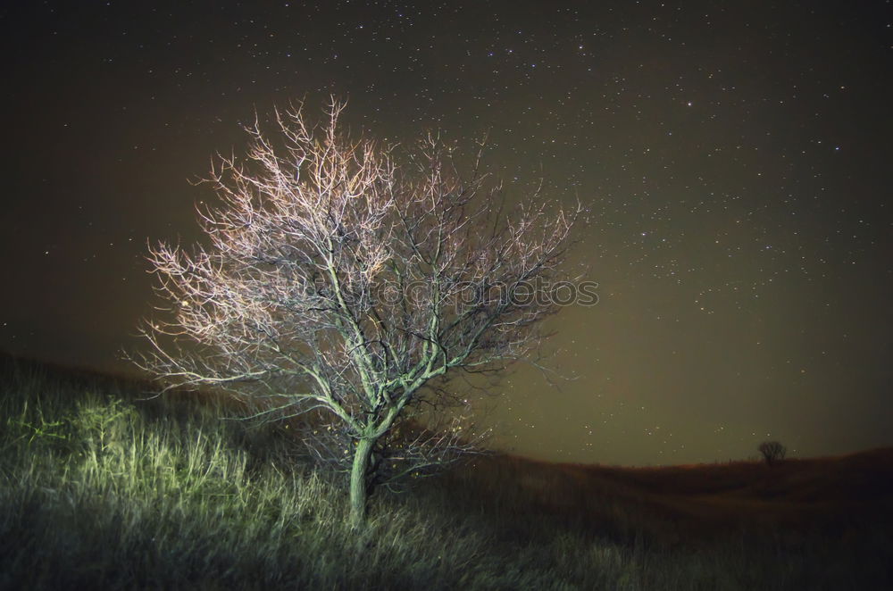 Similar – Image, Stock Photo right behind the house