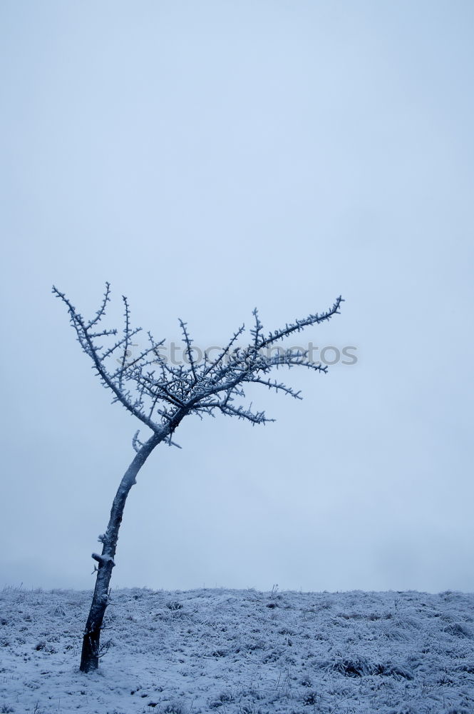 Similar – Image, Stock Photo Young woman leaning on a cross in a snowy field