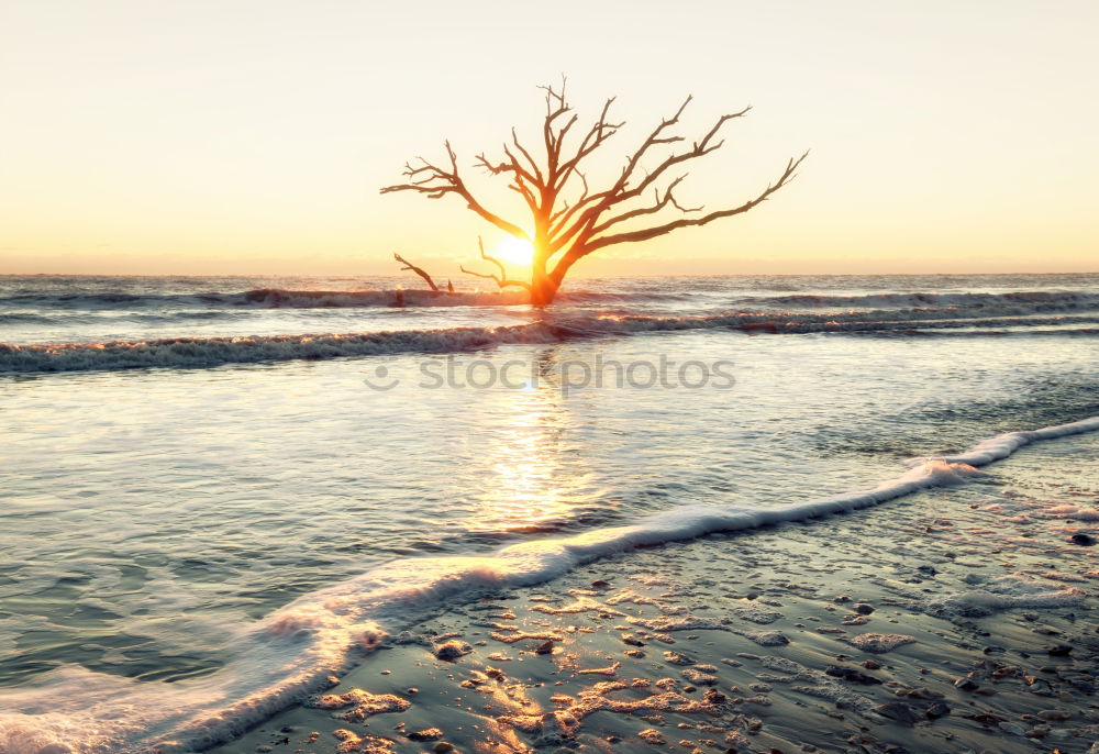 Image, Stock Photo Tourists walk along the beach