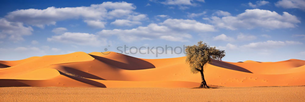 Similar – Image, Stock Photo Sandstorm in Sossusvlei #3