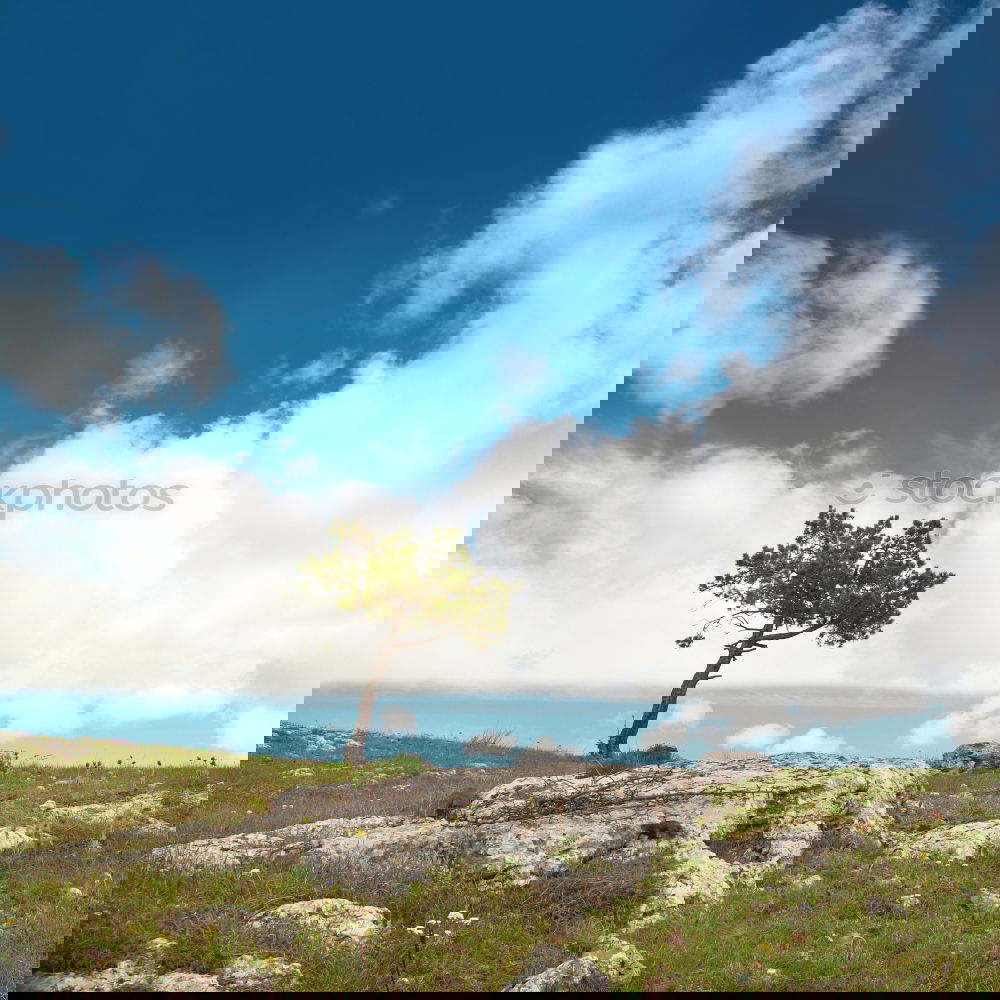 Similar – Foto Bild Tanz den Apocalypso