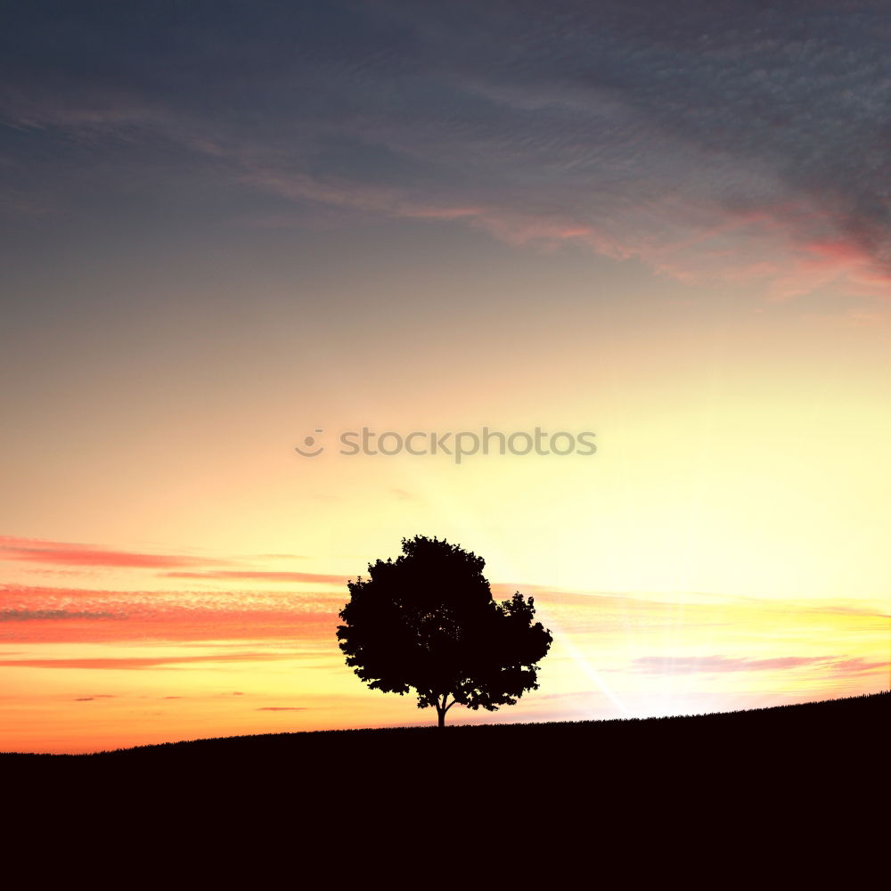 Similar – Einsamer Baum im Winter