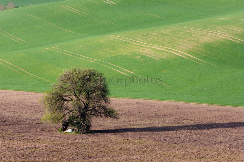 Similar – Image, Stock Photo Wind Mill Well-being Calm