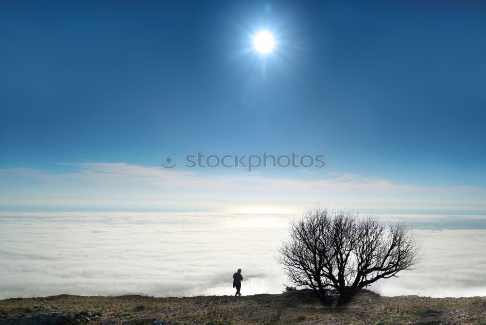 Similar – Image, Stock Photo A young person in the dunes of Hiddensee in bright sunshine with a fantastic view of the sea