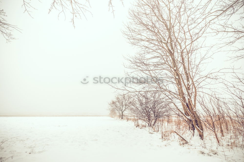 Similar – Image, Stock Photo Winter Impression_III Cold