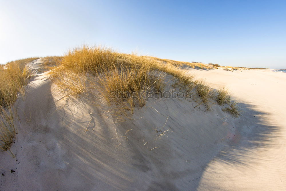 Similar – Image, Stock Photo Landscape in the dunes on the island of Amrum