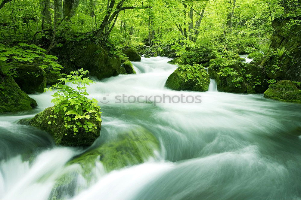 Similar – Foto Bild Es klappert die Mühle am rauschenden Bach