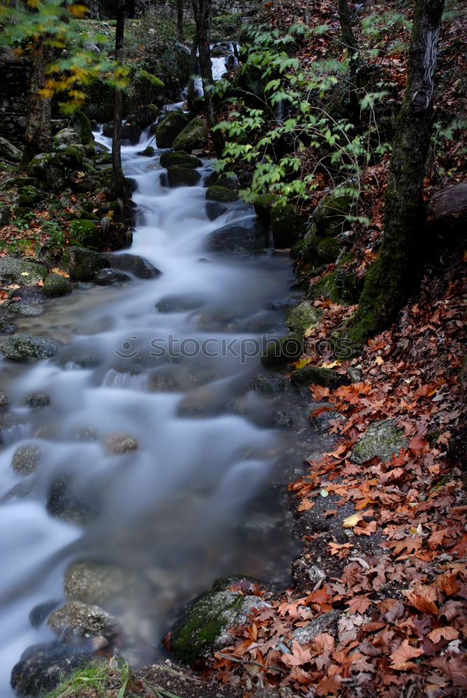 Similar – Image, Stock Photo – autumnal water drifting