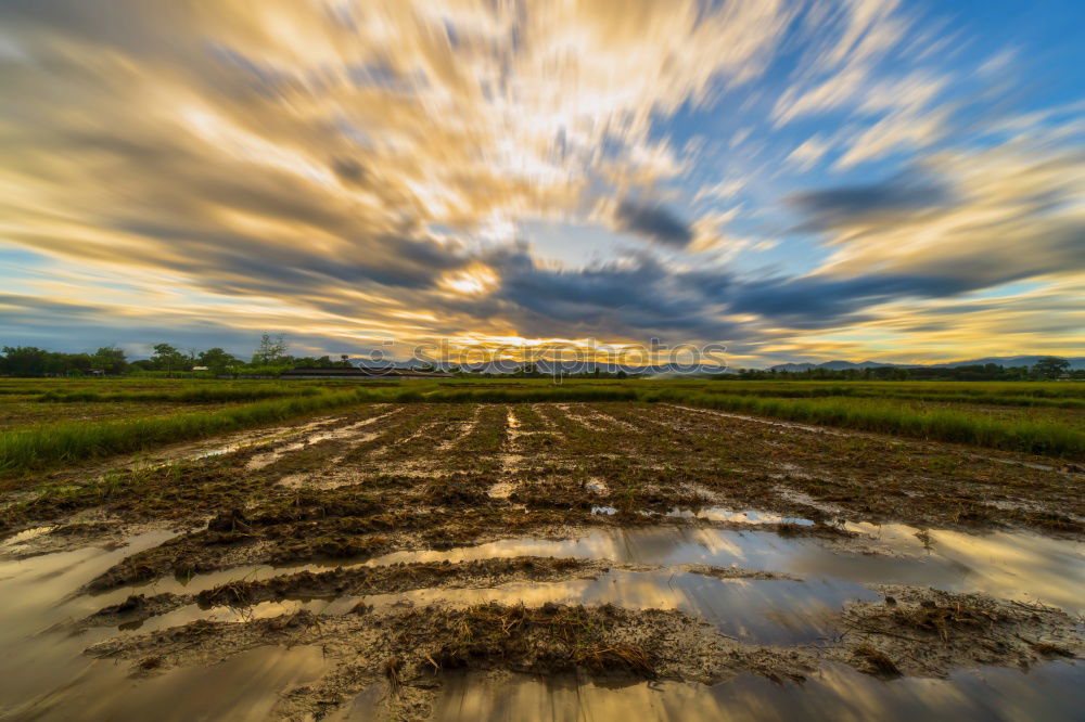 Similar – Field path and landscape