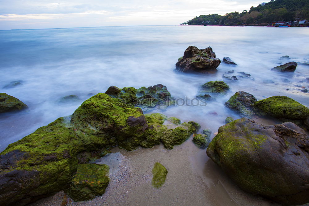 Similar – flysch Nature Landscape