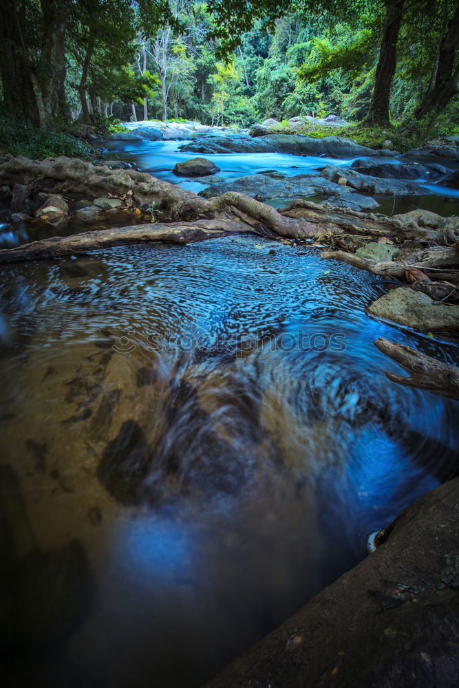 Image, Stock Photo Sommerbach