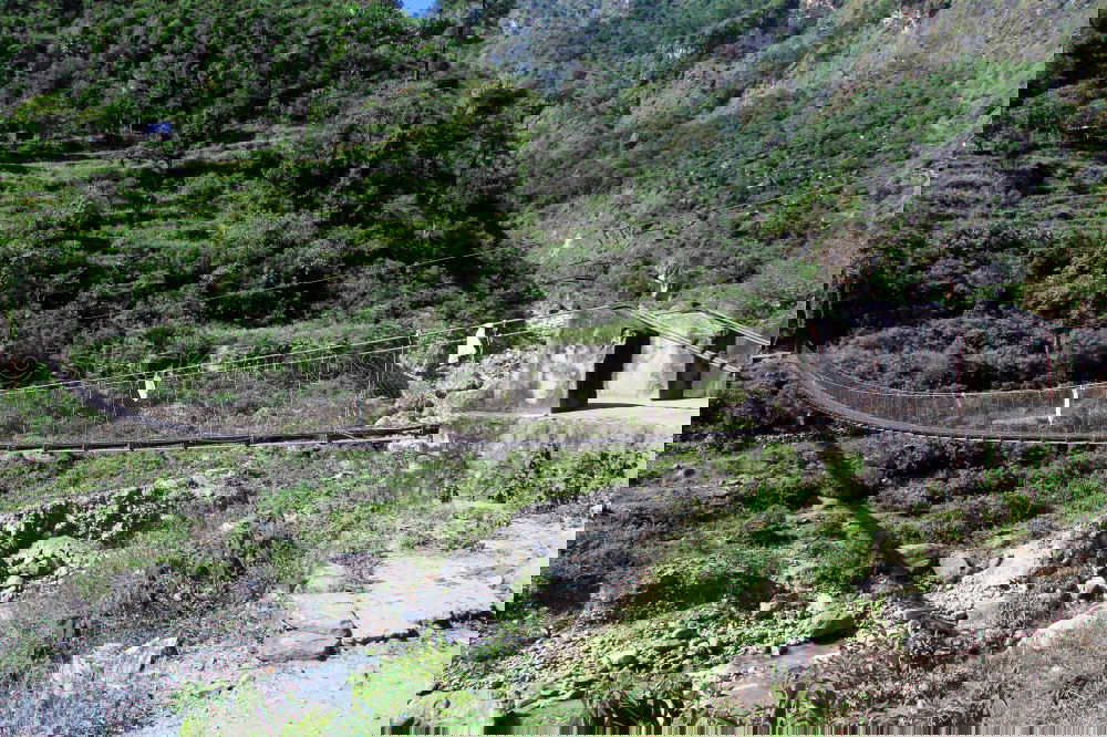 Similar – Foto Bild manali cow ruhig