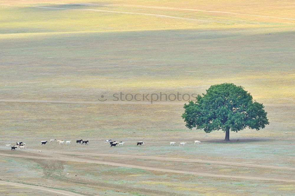 Similar – Image, Stock Photo Wind Mill Well-being Calm