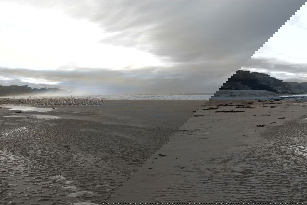 Similar – Image, Stock Photo two happy dogs having fun at the beach. Running