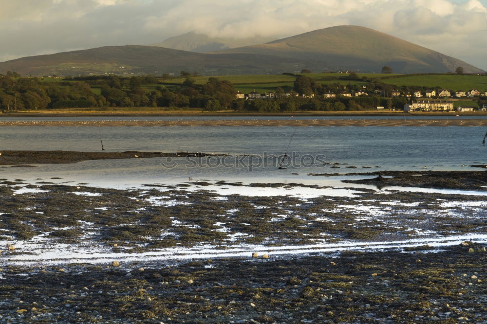 Similar – Foto Bild Der Hafen See Schottland