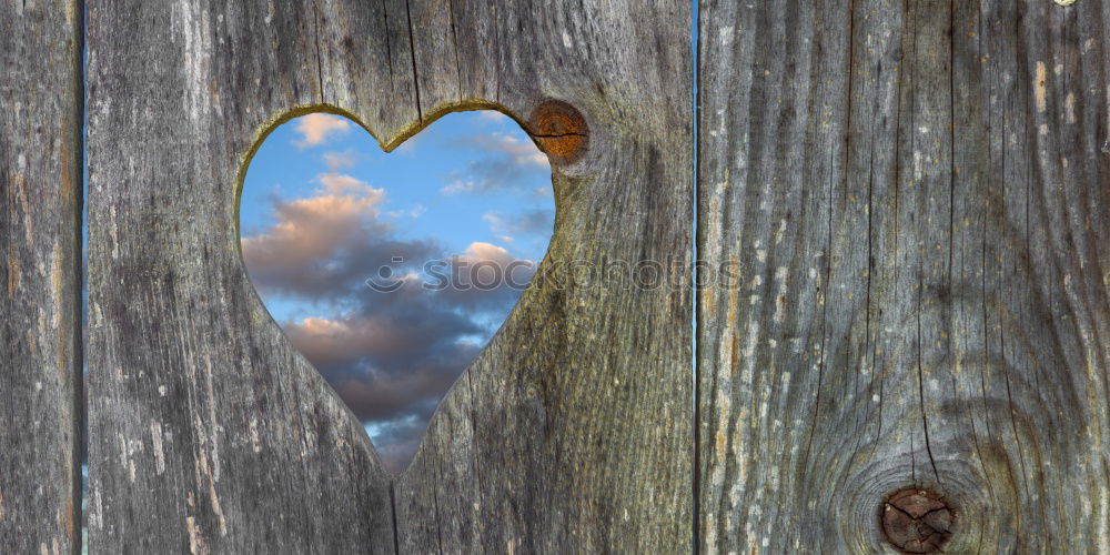 Similar – Stone heart shape on wood