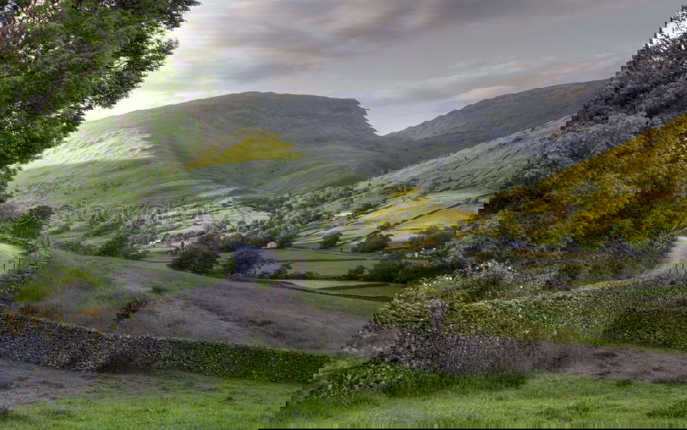 Similar – Foto Bild Linksverkehr Baum Feld