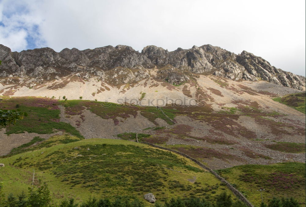 Similar – timberlines Landscape Tree