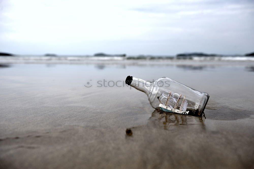 Foto Bild Flasche Getränk Bier