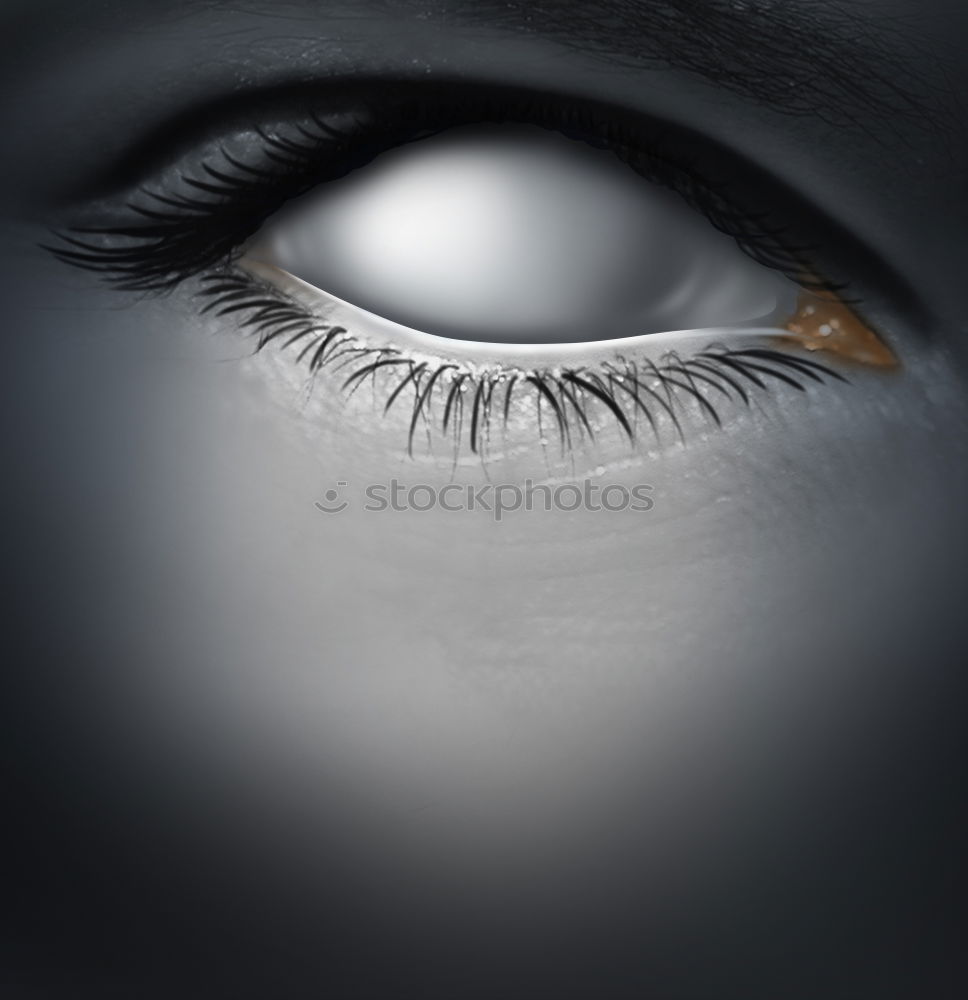 Similar – Image, Stock Photo Sharp eyes. Eyeglasses