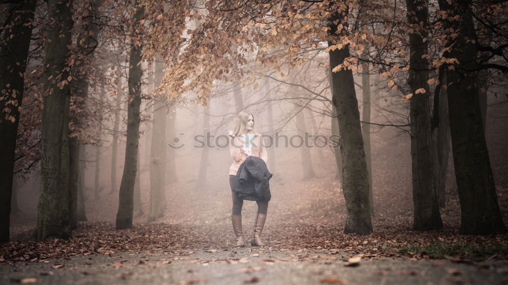 Similar – Image, Stock Photo autumn Trip