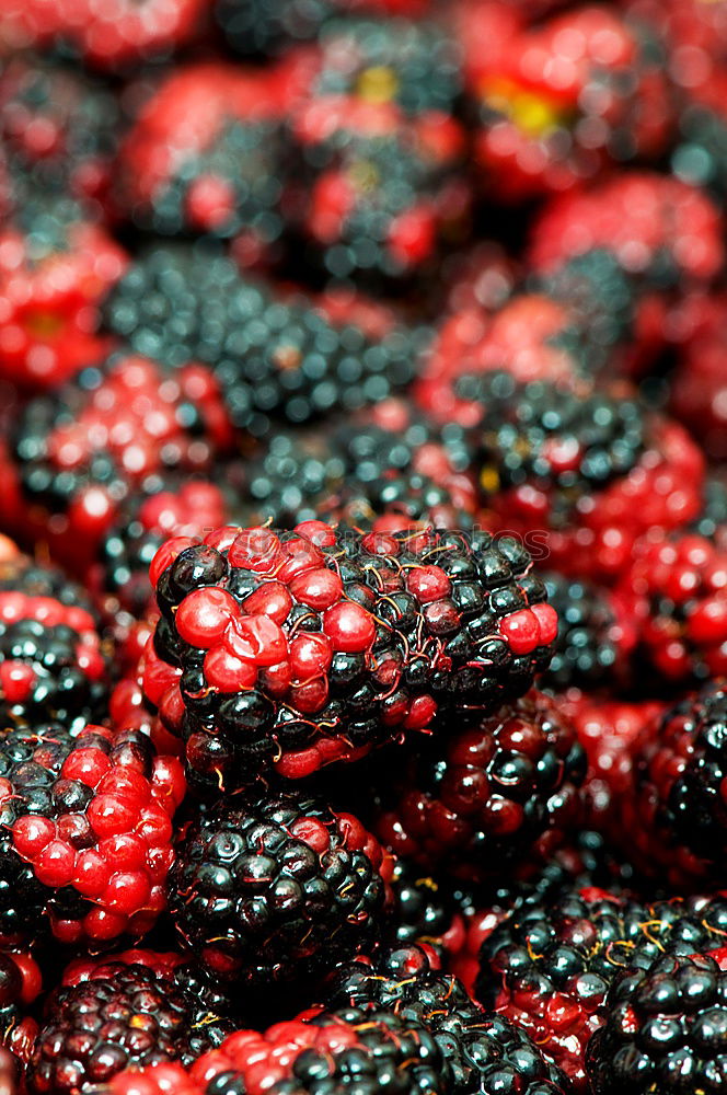 Similar – wild berries Food Fruit