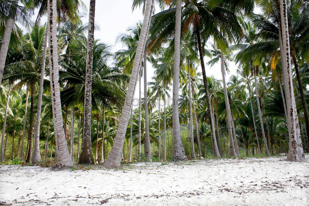 Similar – Bali Island Indonesia Asia