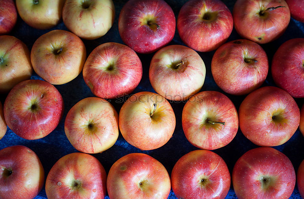 Similar – Image, Stock Photo plums Red Violet Picked