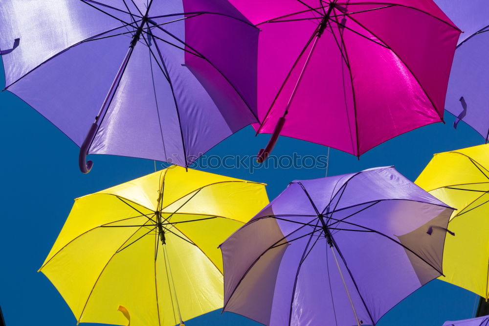 Similar – Image, Stock Photo Old purple umbrella with big crack