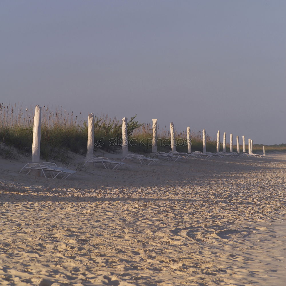 Similar – Die dreisten 3 Strandkorb