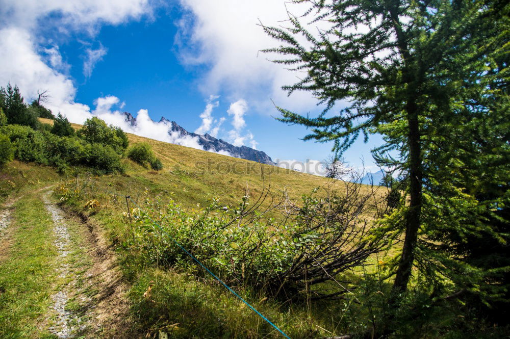 Similar – Image, Stock Photo Woman wanders through the Plamorter Boden, Vinschgau, Italy