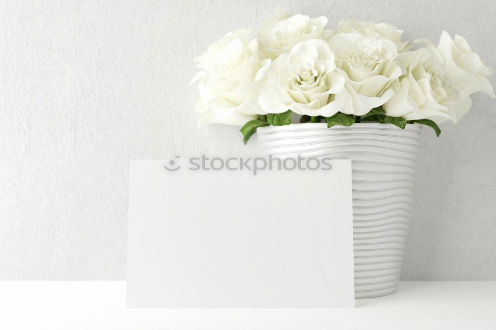 Similar – Image, Stock Photo aalto white Flower Vase