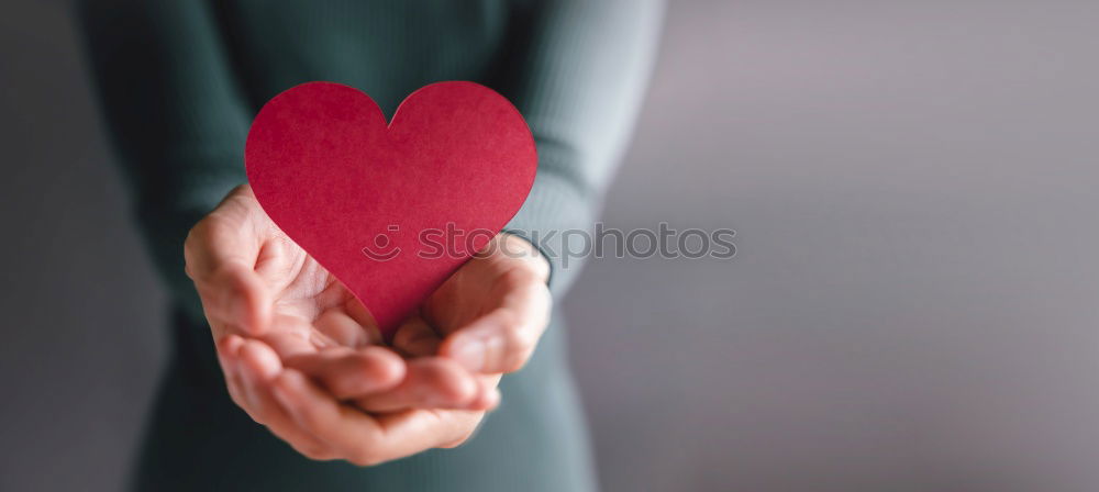 Similar – Image, Stock Photo Female hands holding heart shaped gift box.