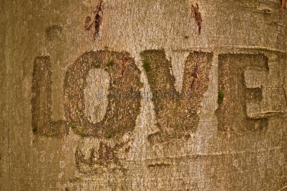 Image, Stock Photo I love U Tree Wood Sign