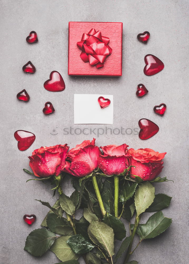 Similar – red roses for Valentine’s Day