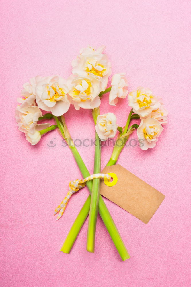 Beautiful bouquet of flowers. Daffodils with blank label card