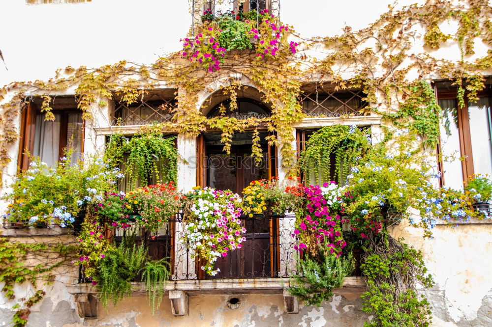 Similar – Image, Stock Photo Detail view of Taormina, Sicily, Italy