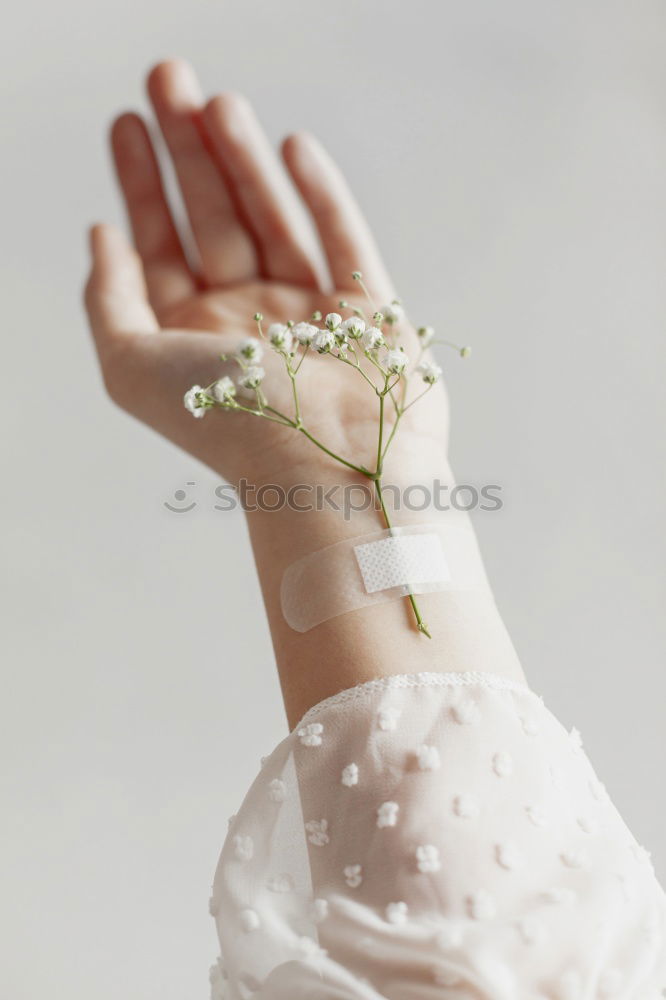 Similar – Image, Stock Photo couronne Feminine Woman