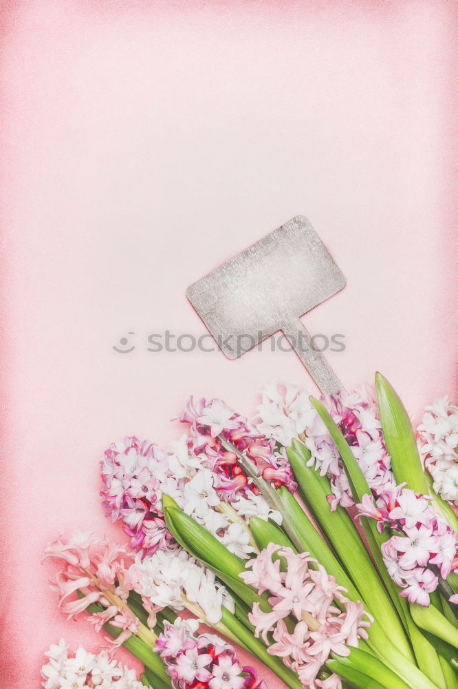 Beautiful spring flowers with hearts and shield