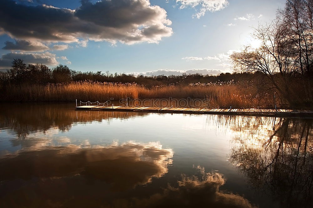 Similar – Image, Stock Photo Mirrored! Summer Nature