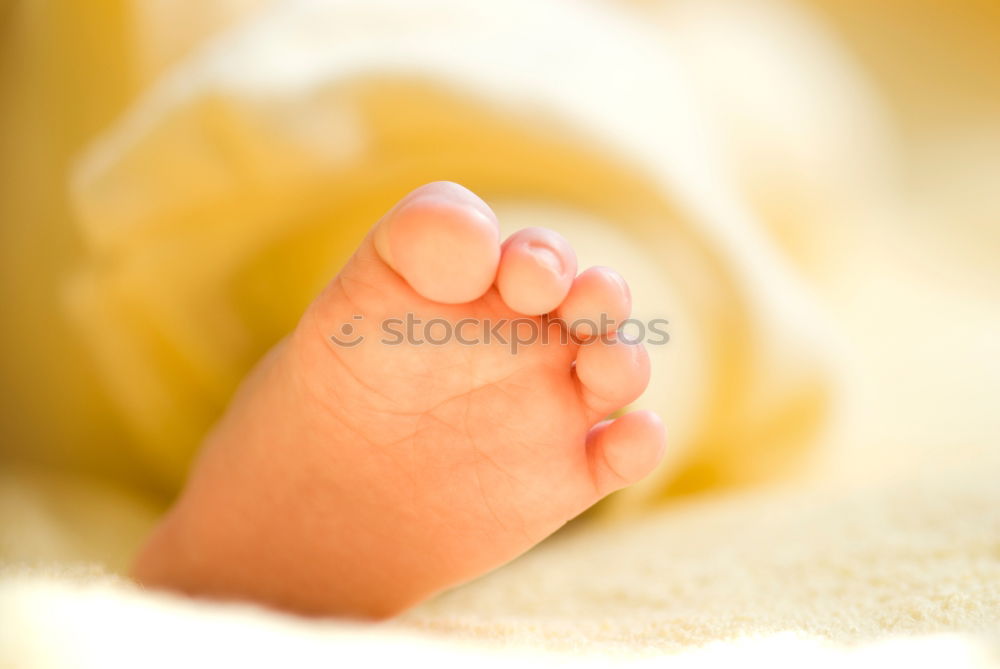 Similar – little girls feet III Toes