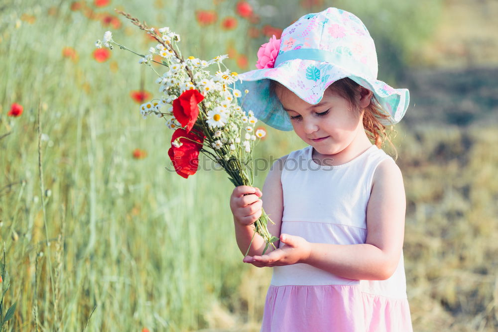 Similar – Image, Stock Photo Lovely little girl in the field of wild flowers