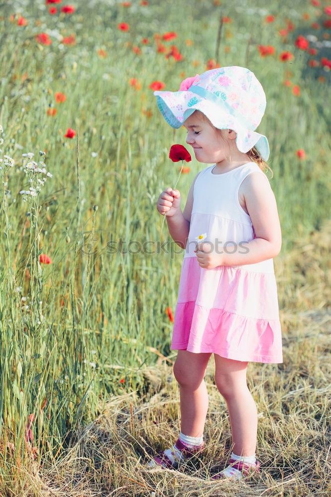 Similar – Image, Stock Photo Lovely little girl in the field of wild flowers