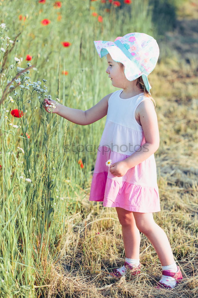 Image, Stock Photo Lovely little girl in the field of wild flowers